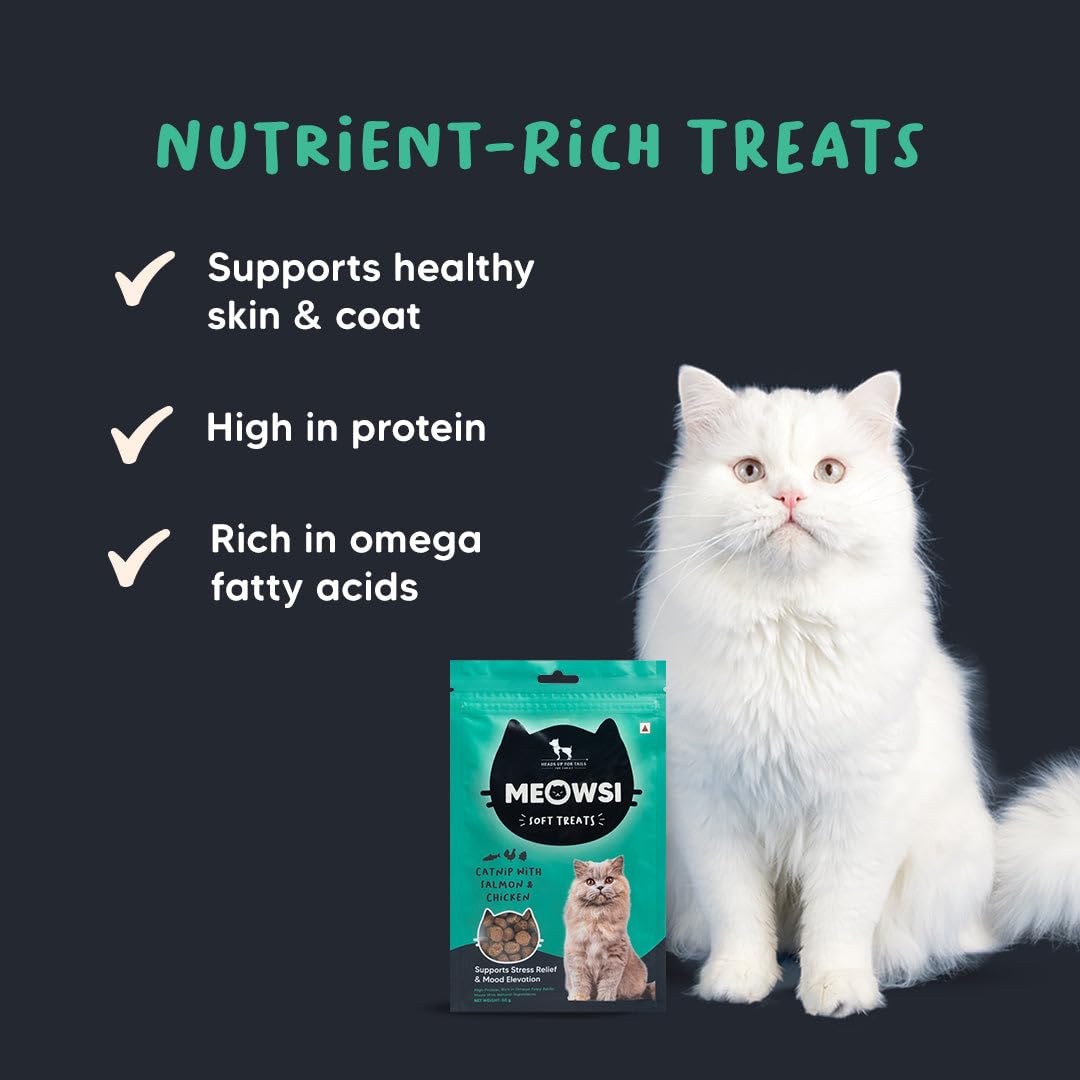 Meowsi by HUFT Soft Cat Treats - Catnip with Salmon & Chicken - 50 gm | Treats for Kittens & Adult Cats | for Persian Cats & All Breeds | Supports Digestion