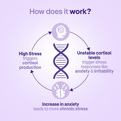 three60 STRESS RELIEF Gummies |Reduces Stress & Cortisol Levels |Helps in Anxiety Relief & Calms Mind |KSM-66® Ashwagandha, Safr’InsideTM (Saffron), Lavender|Non-Habit Forming|30 Stress Relief Gummies