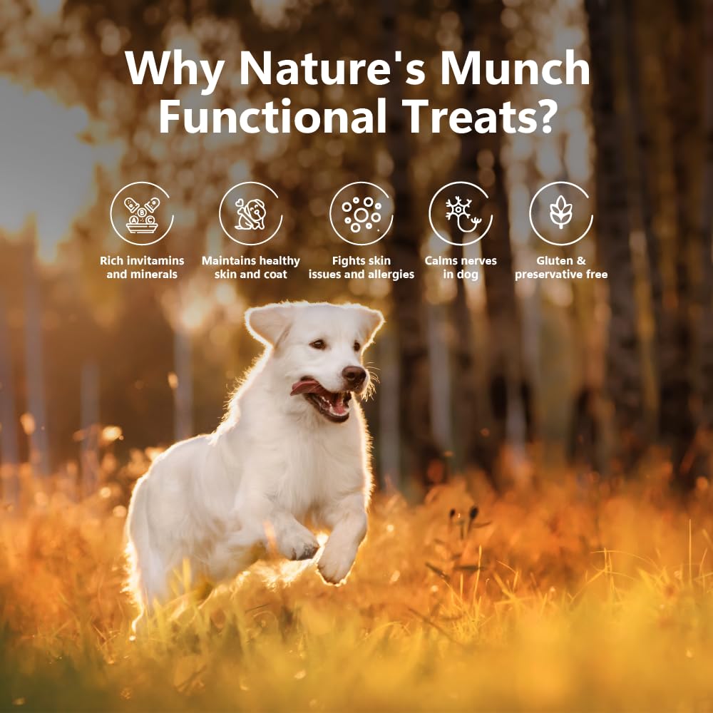 Pawfect Nature's Munch Freeze-Dried Cheese Functional Treats for Dogs- Skin Care - 100% Natural- High Protein, Low Fat- 8 Calories per Treat- Grain-Free- Healthy Training Treat(75g/2.65oz)
