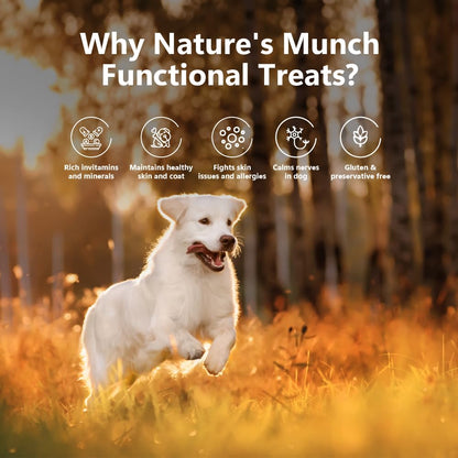 Pawfect Nature's Munch Freeze-Dried Cheese Functional Treats for Dogs- Skin Care - 100% Natural- High Protein, Low Fat- 8 Calories per Treat- Grain-Free- Healthy Training Treat(75g/2.65oz)
