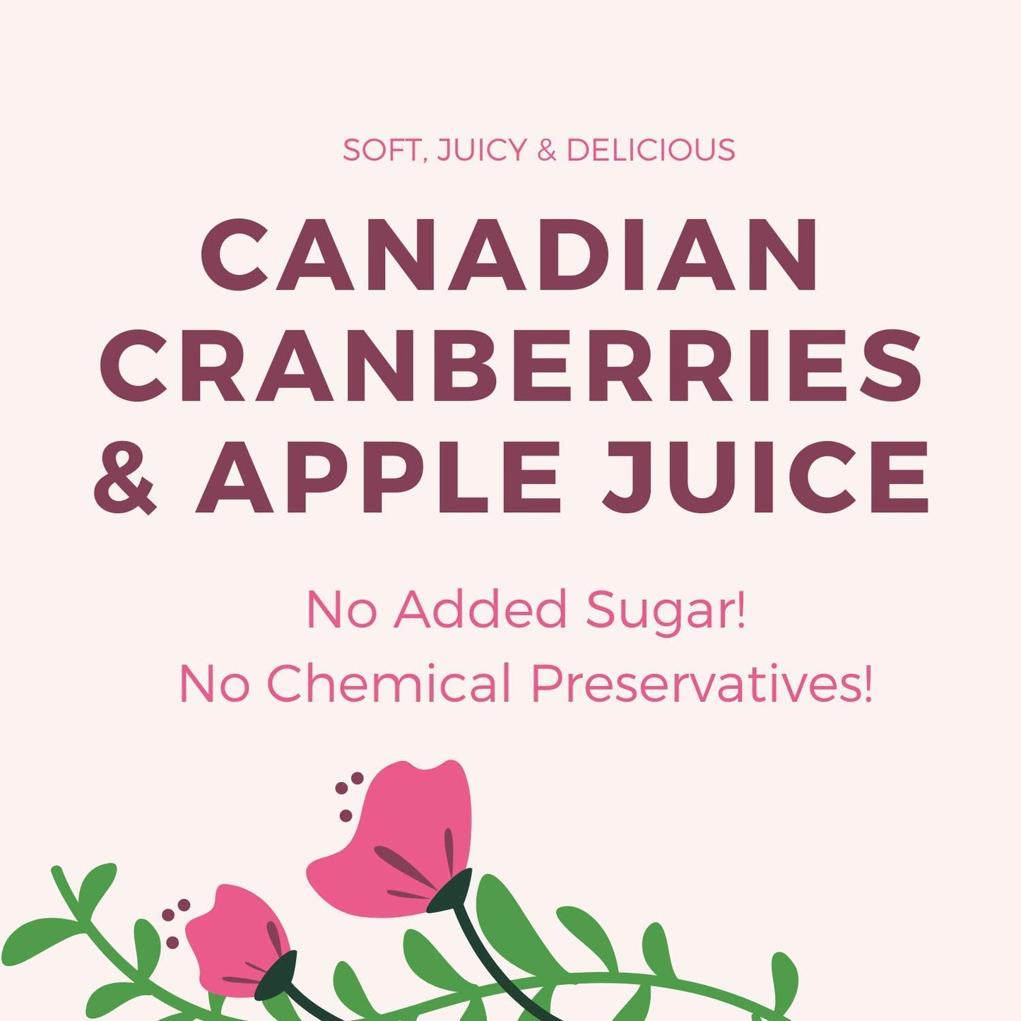 Essence Nutrition Whole Dried Cranberries - Gluten Free, Unsulphured [ Imported From Canada ] - Cranberry Dry Fruit Without Sugar