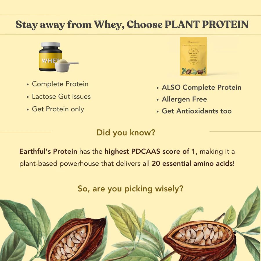 Zephivo Earthful Honest Plant Protein | 24g Protein/Serving & 4.9g BCCAs | For Weight Management, Energy, Muscle Support & Recovery | Made with Pea & Brown Rice | Indonesian Cocoa - 504g