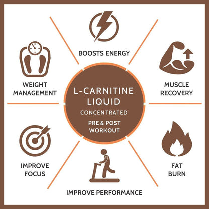 Carbamide Forte L Carnitine Liquid 1500mg | L-Carnitine Liquid With Vitamins | L'Carnitine Supplement For Pre & Post Workout To Suppoer Energy, Recovery & Metobolism | Citrus burst Flavor - 500ml