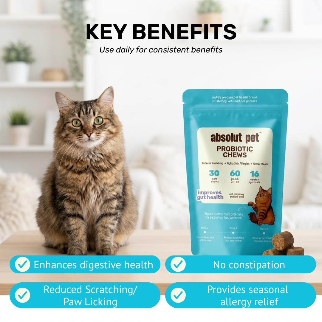 Absolut Pet Probiotic Chews for Cats, Gut Health & Itch Relief | 30 Chews | Probiotic support for feline digestion & balanced gut flora; helps reduce scratching, paw-licking & itching in cats.