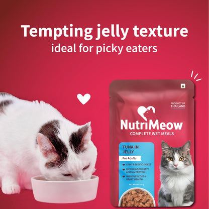 NutriMeow Tuna in Jelly Wet Food Pouch for Adult Cats - 80gm | High Protein, Nutritious & Tasty | Complete & Balanced Cat Meal | Healthy Food for Persian & All Breeds