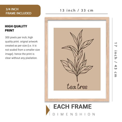 Botanical Wall Art Painting |Poster With Frame Wall Decoration Wall Paintings For Home Décor | Frames For Home Décor Office Living Room | Set of 3 (13X17 inch)