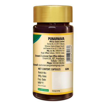 Zandu Punarnava Capsules, With Goodness of Natural Punarnava Extract known for Good Gut Health & for Healthy Appetite, Helps for Heart and Urinary Health - 60 Veg capsules