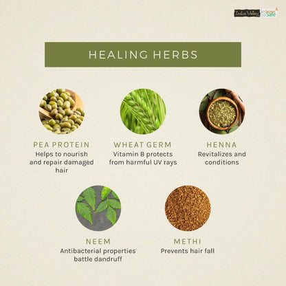 Infographic of healing herbs with images and descriptions on a beige background