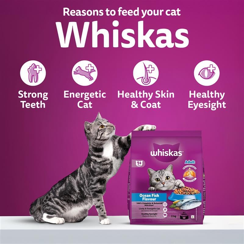 Whiskas Adult (1+ Years) Dry Cat Food, Ocean Fish Flavour, 1.2 kg, Contains 41 Essential Nutrients, Complete & Balanced Nutrition for Adult Cats