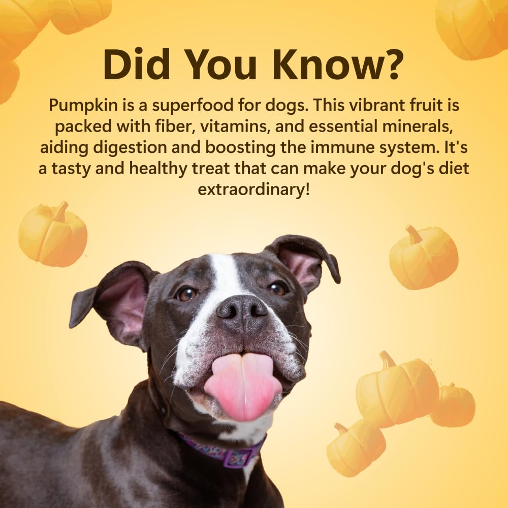 Pawfect Treats Nature's Munch Freeze-Dried Finest Pumpkin Treats for Dogs | Hypoallergenic Dog Treats, Grain-Free | Healthy Dog Treats (20 G),All Life Stages