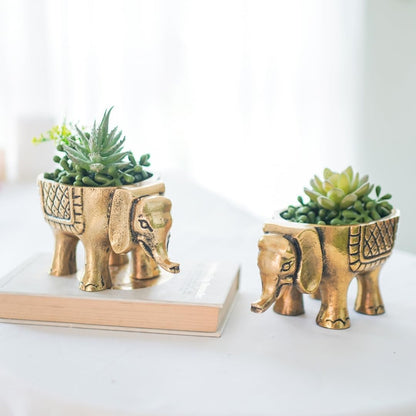 BEHOMA Metal Elephant for Good Luck, Golden - Set of 2