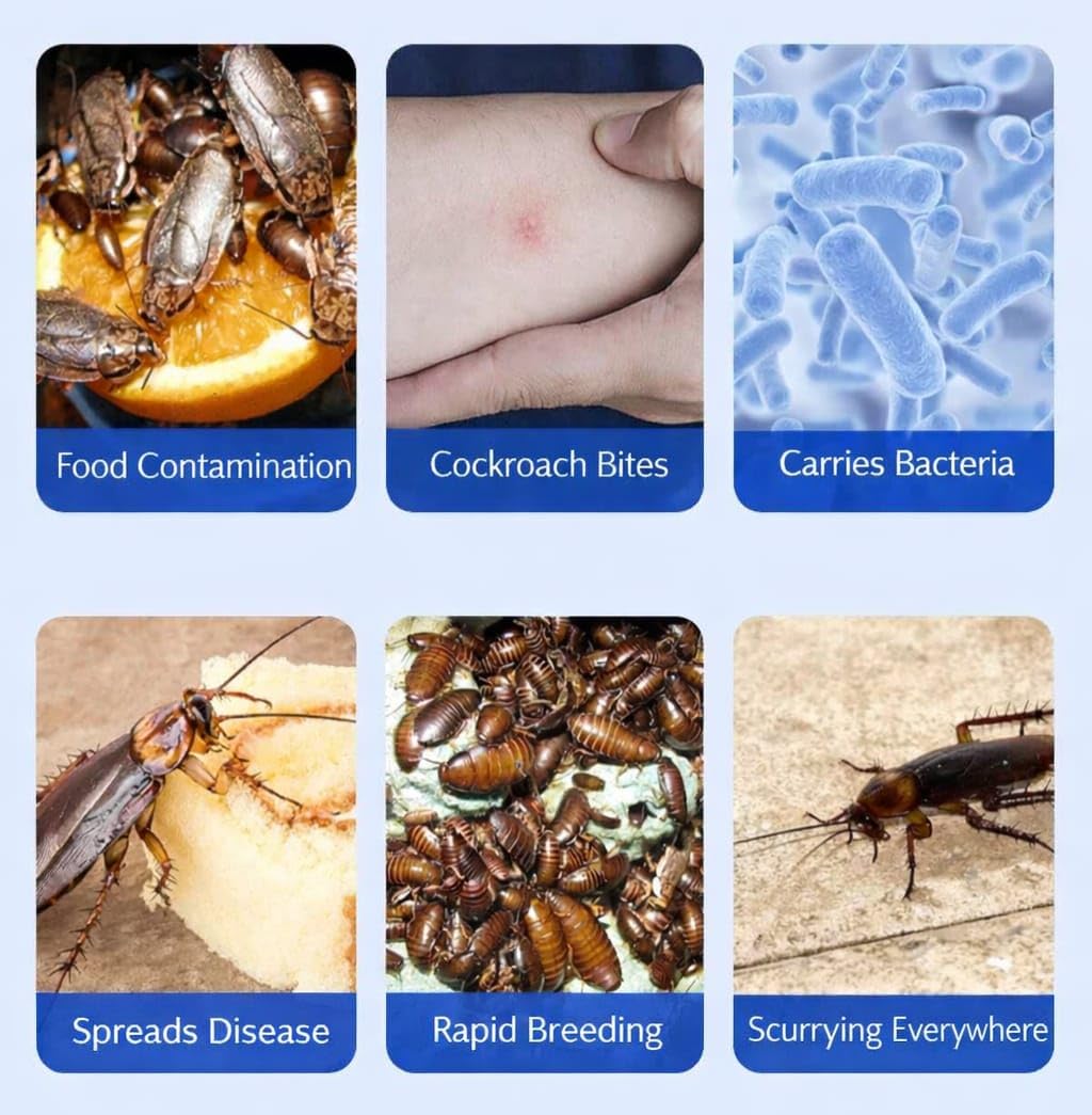 Natural Cockroach Repellent Bait (8 Traps) | Eco-Friendly Anti-Roach Gel Traps for Kitchen, Bathroom & Cabinets | Non-Toxic Indoor & Outdoor Cockroach Control | Odorless Pest Repellent