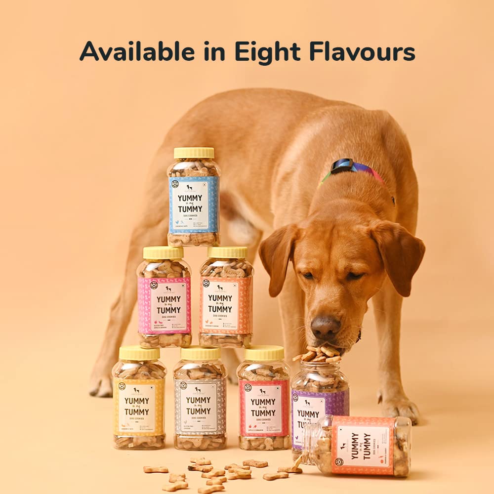 Yummy in My Tummy by HUFT Chicken Liver Dog Biscuits – 800 gm | Crunchy Treats for Puppies & Adult Dogs | High-Protein Snack | Made with Real Ingredients | Ideal Training Treat for All Breeds Dogs