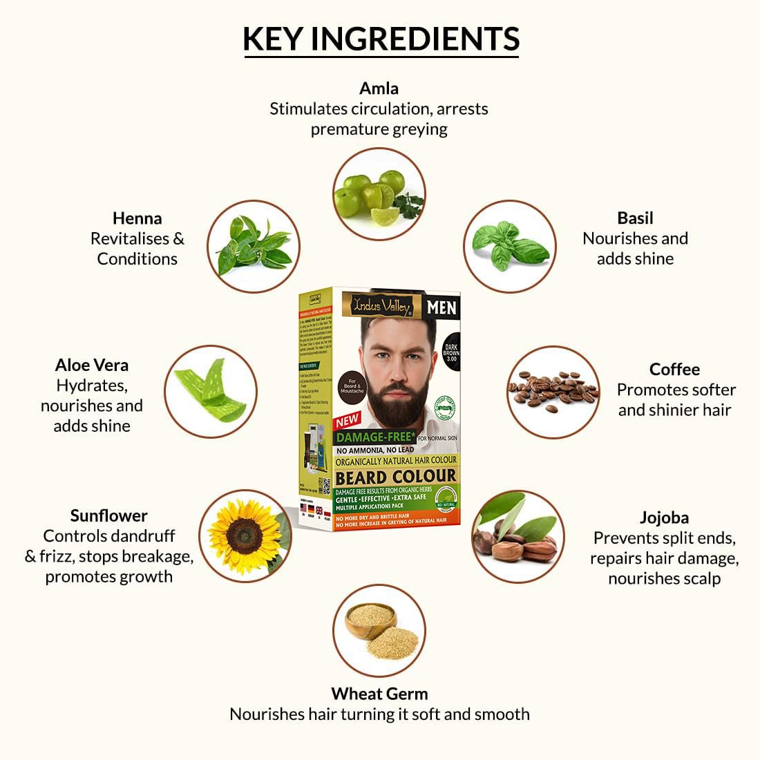 Key ingredients of a beard color product with images and text on a white background