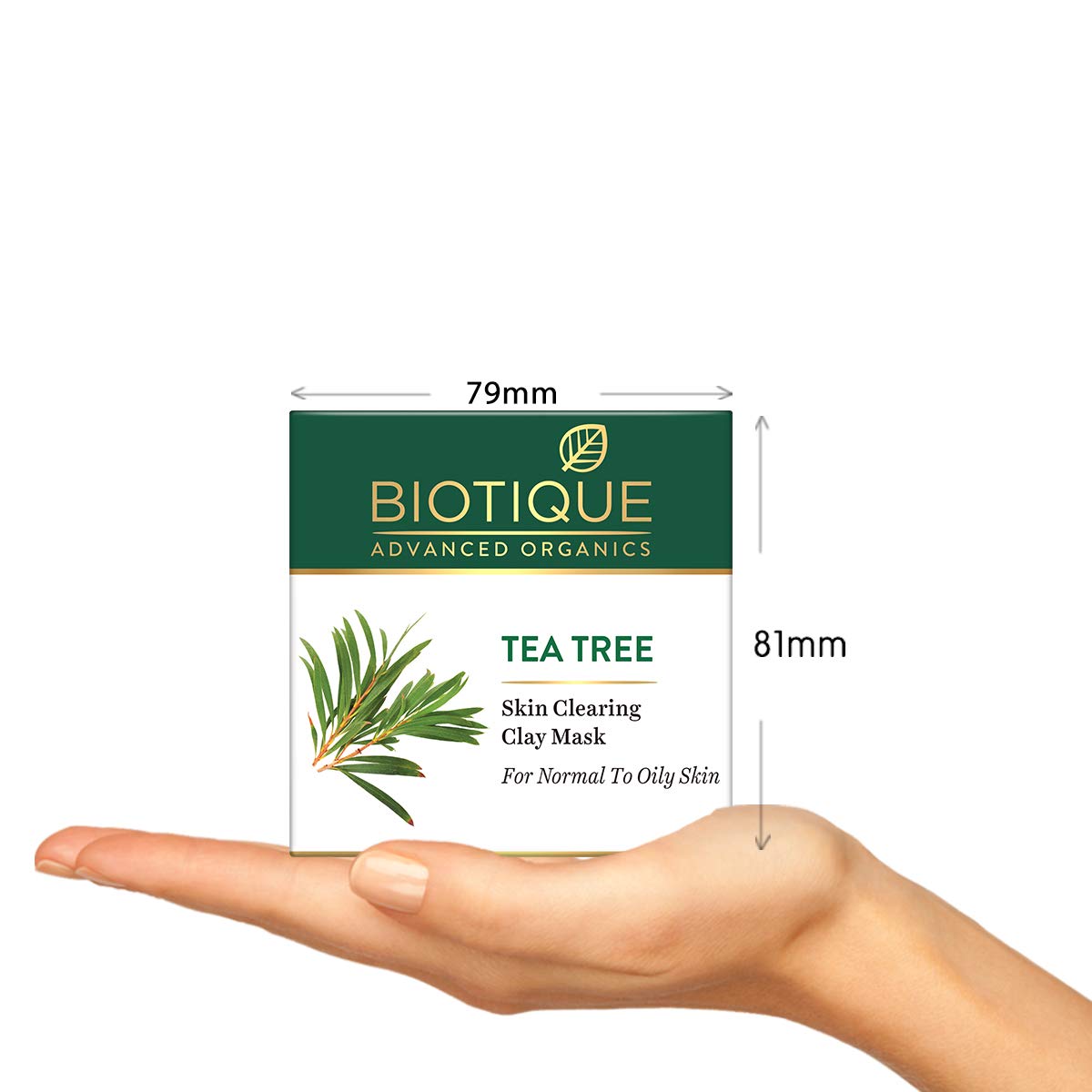 Biotique Tea Tree Skin Clearing Clay Mask for Normal to Oily Skin, 70g