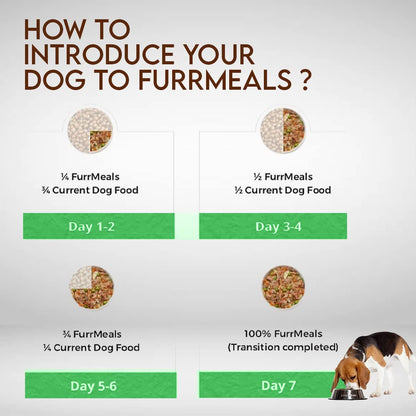 FurrMeals Wet Dog Food | Fresh Cottage Cheese and Peas | Ready-to-Eat Fresh Dog Food | All Breed | Veg Recipe | Gluten Free I Preservative Free I Single Pack (200gm)
