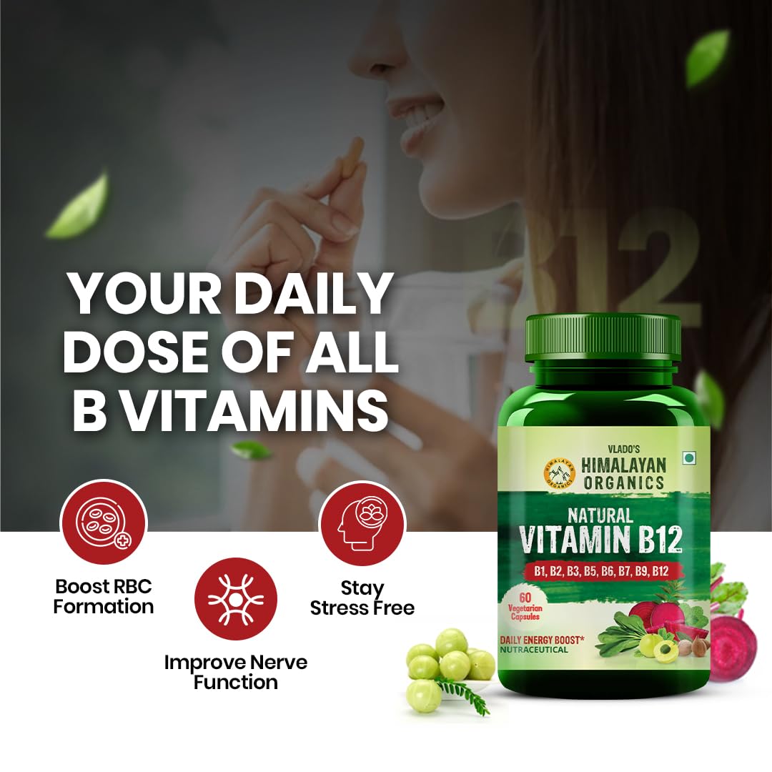 Vlado’s Himalayan Organics Plant-Based Vitamin B12 with B-Complex & Moringa | Energy, Nerve & Brain Support | 60 Veg Capsules