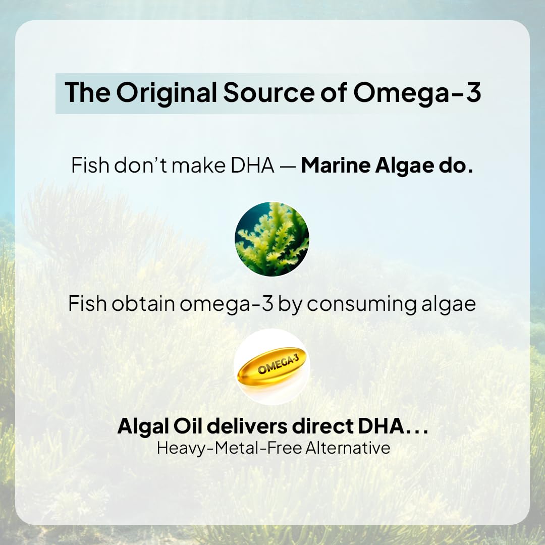 Miduty Veg Omega-3 500mg | 40% Algal DHA + EPA | High-Potency Plant-Based Omega-3 | No Fish Oil, No Fishy Burps | Veg Capsules for Men & Women - 30 Capsules