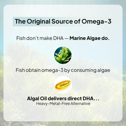 Miduty Veg Omega-3 500mg | 40% Algal DHA + EPA | High-Potency Plant-Based Omega-3 | No Fish Oil, No Fishy Burps | Veg Capsules for Men & Women - 30 Capsules