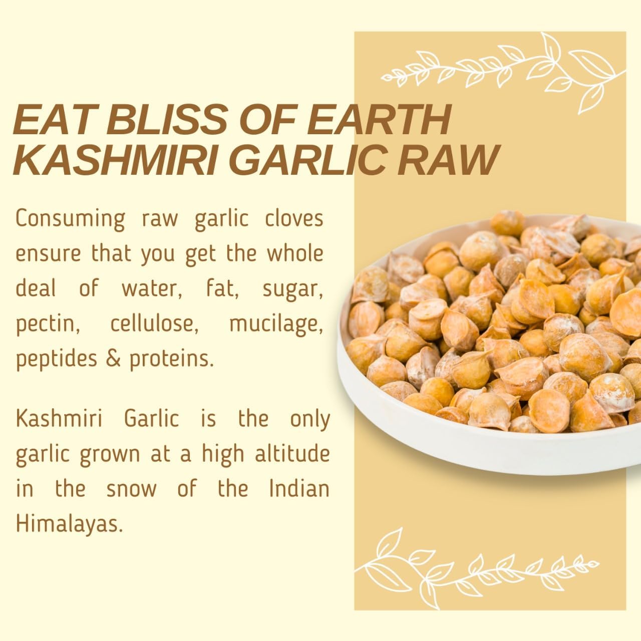 Bliss of Earth Naturally Organic Kashmiri Garlic From Indian Himalayas, Single Clove, Kashmiri Lahsun Ek Pothi, Snow Mountain Garlic- 500 Gm