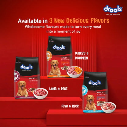 Drools Adult Dry Dog Food 1kg | Turkey and Pumpkin Flavour | Supports Skin Nourishment and Coat Radiance | Promotes Healthy Digestion | Natural Antioxidants | Strengthen Immunity