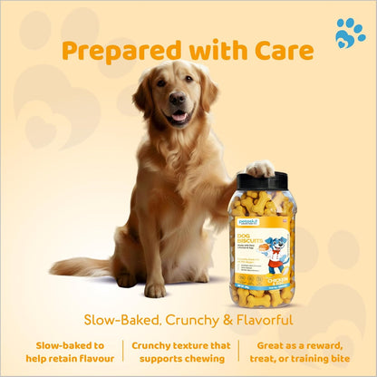 Petoska Chicken & Egg Dog Biscuits | 500g Jar | Made with Real Chicken & Egg | Crunchy Treats for Small, Medium & Large Dogs | 300 kcal/100g | Complementary Dog Food