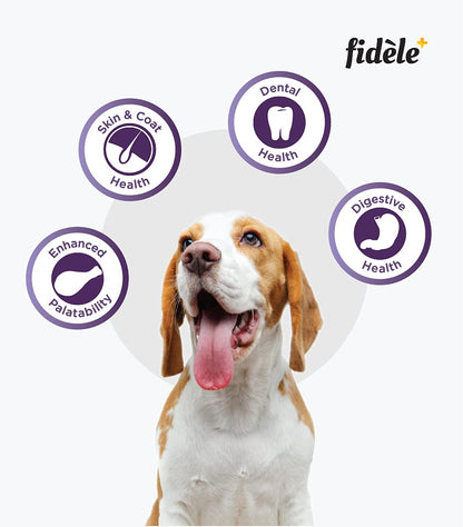 Fidele+ Adult Small & Medium Dog Food | 900g | Small Kibble for Fussy Eaters | Prebiotics for Digestion | Healthy Skin & Coat | Real Chicken