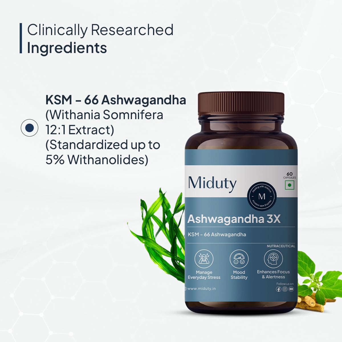 Zephivo Miduty Palak Notes Ashwagandha 3X (500 mg) Supplement - KSM 66 Ashwagandha - Triple Strength Formula - For Mood Stability - Focus, Strength and Stress - 60 Veg Capsules