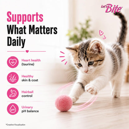 Let's Bite Active Kitten Dry Cat Food, 400 gm Pack