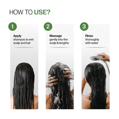 Bare Anatomy Anti Dandruff Shampoo | Reduces Up to 100% Dandruff and Strengthens Hair | Derma Approved Shampoo with Salicylic Acid & Biotin | Helps Remove Flakes and Itching | Shampoo For All Hair types | For Women And Men | 100ml