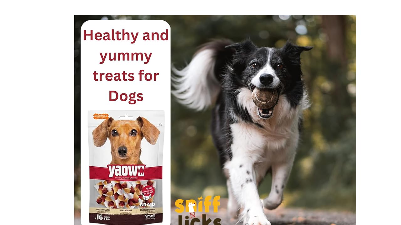Gnawlers Yaowo Braided Dog Treats (2.5 inch) 500g (Pack of 1) By Sniff N Licks