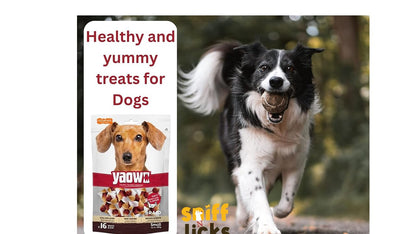 Gnawlers Yaowo Braided Dog Treats (2.5 inch) 500g (Pack of 1) By Sniff N Licks