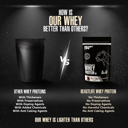 BeastLife Whey Protein Sachets 300 Gram | Rich Chocolate Flavour | 24g Protein, 5.3g BCAA, Ultrasorb Tech | High Absorption for Muscle Gain | Fast Recovery | Sports Nutrition | Travel-Friendly Nutrition | Easy to Carry & Use Anywhere