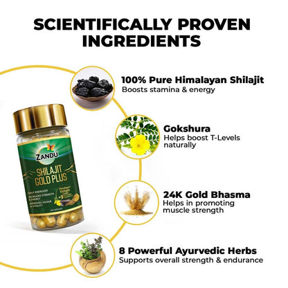 Zandu Shilajit Gold Plus supplement bottle with ingredients listed on a white background