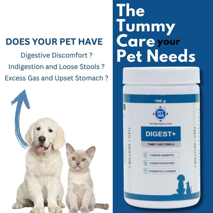 PET360 Digest+ | Tummy Care Formula for Healthy Digestion | Reduces Paw Licking & Scratching | Increased Immunity | Suitable for All Breeds| 100gm Powder