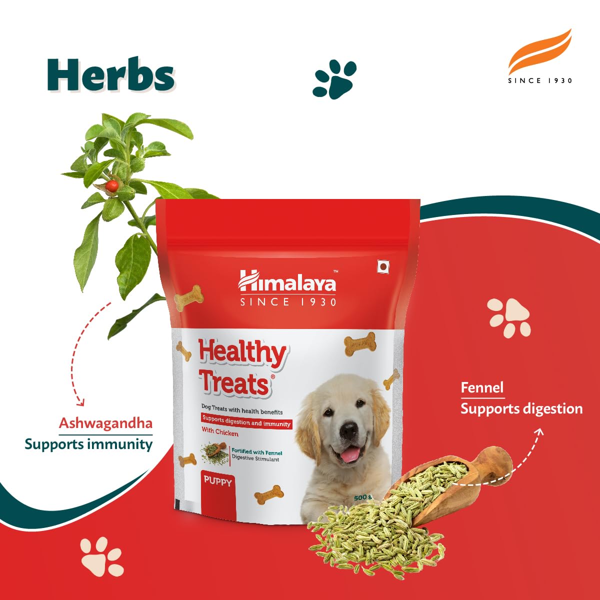 Himalaya Healthy Treats for Puppies | Chicken | 900g | With Ashwagandha & Fennel Seeds | Tasty & Nutritious Puppy Snack