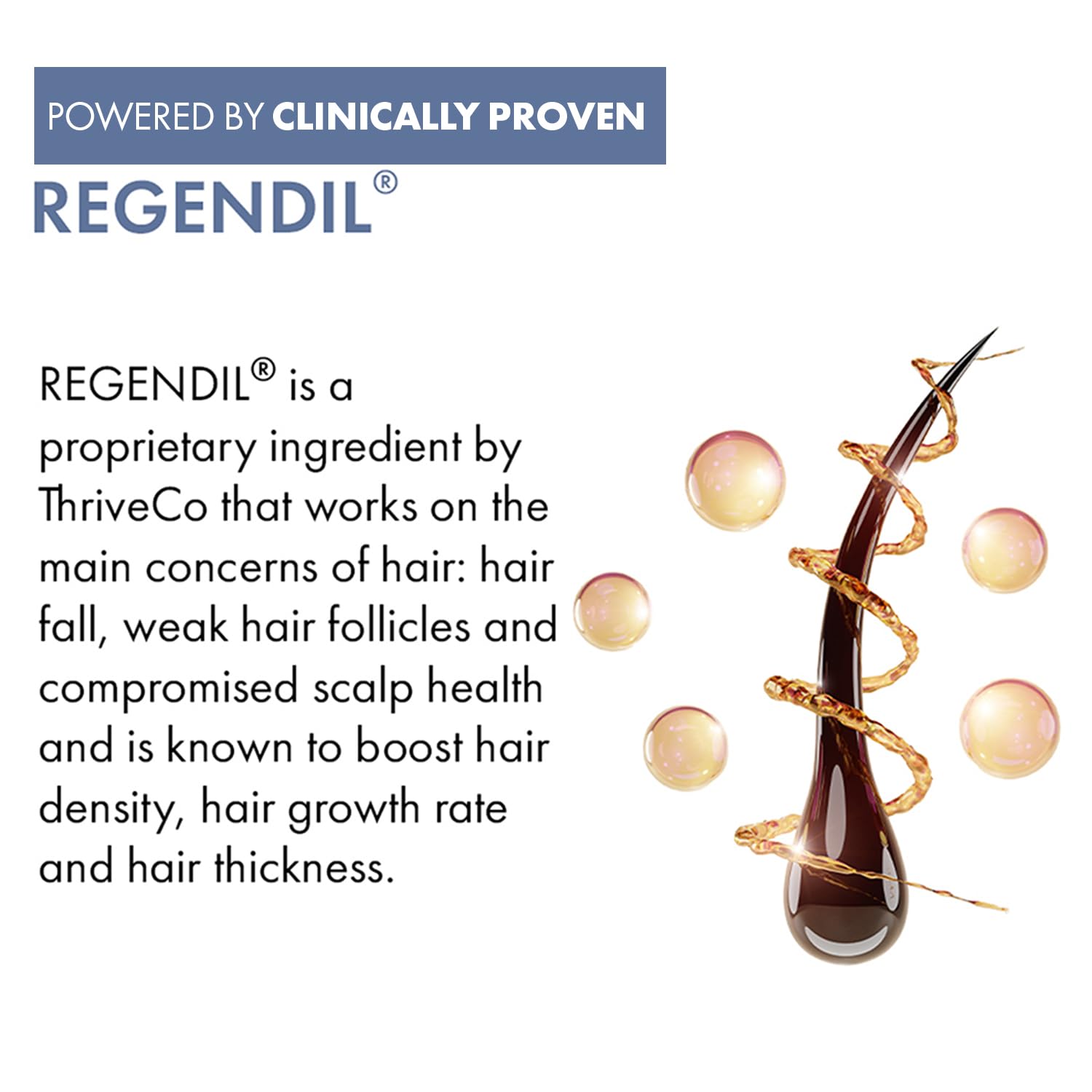 Advertisement for Regendil, a hair care product ingredient, with text and visual elements on a white background.