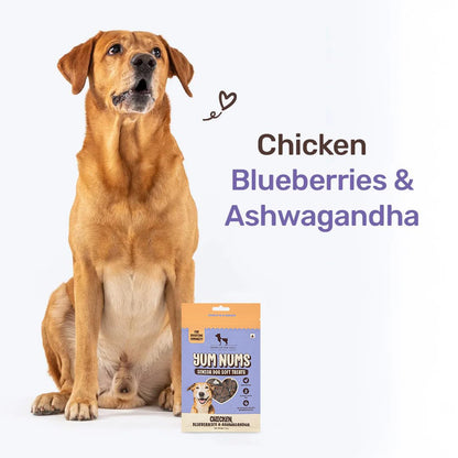 Yum Nums by HUFT Soft & Chewy Sticks - 70 gm | Chicken,Blueberries & Ashwagandha | for Senior Dog | High in Proteins | Gluten & Grain Free | Salt & Sugar Free | No Artificial Colours