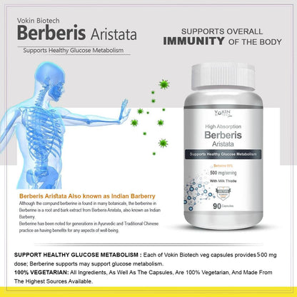 Vokin Biotech Berberis Aristata supplement bottle with human skeleton illustration and text on immunity and glucose metabolism.