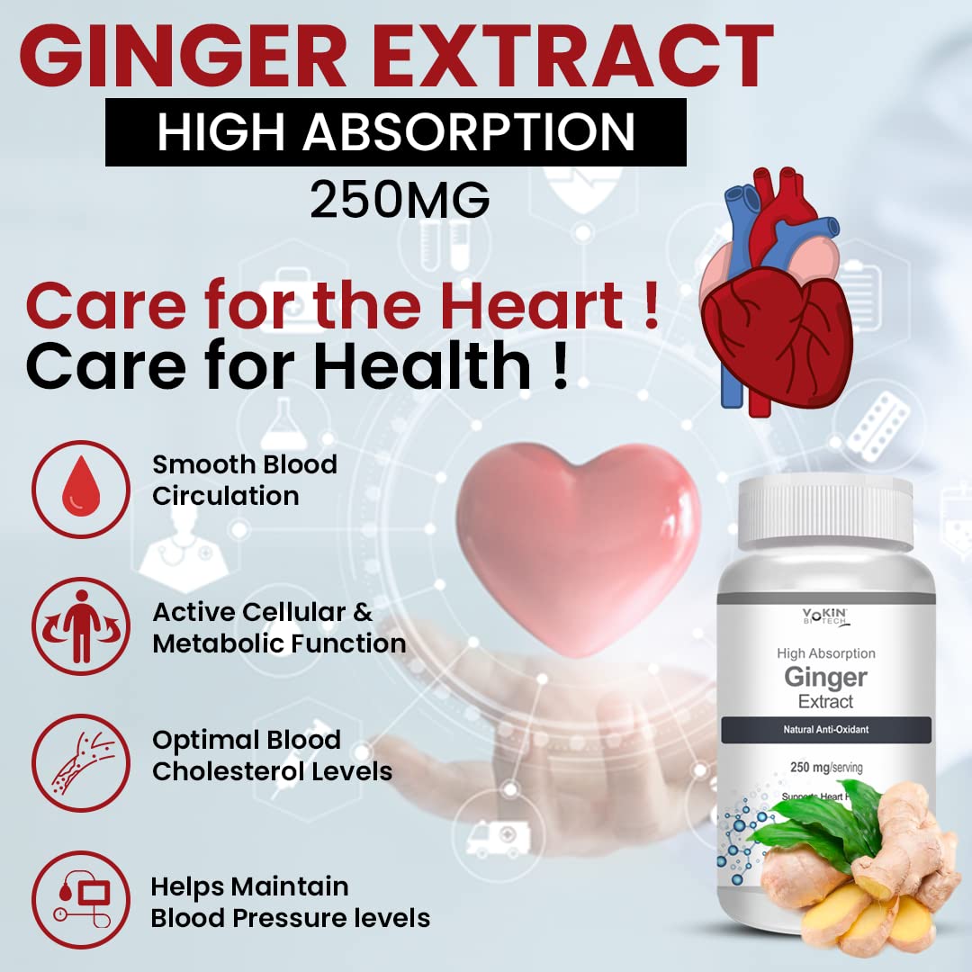 Ginger extract supplement bottle with heart and血管 illustrations on a light blue background