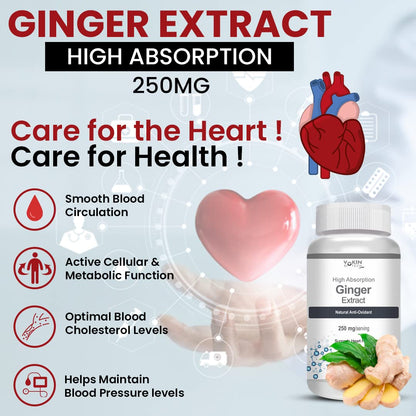 Ginger extract supplement bottle with heart and血管 illustrations on a light blue background