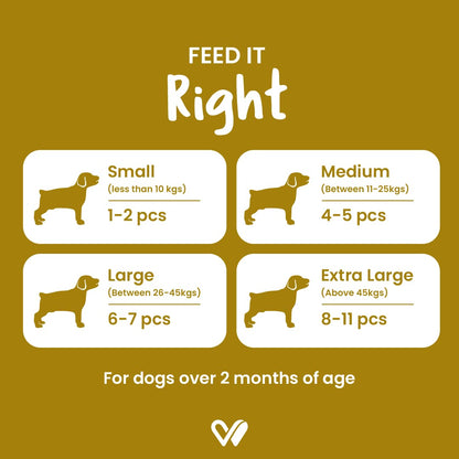 Wiggles Barkstix Dog Treats (Honey Chicken, 100g) | Fresh Chicken Soft Chew Sticks for Training Adult Puppies | Improves Joint Health with Honey and Cereals | for All Breeds | Vet Approved