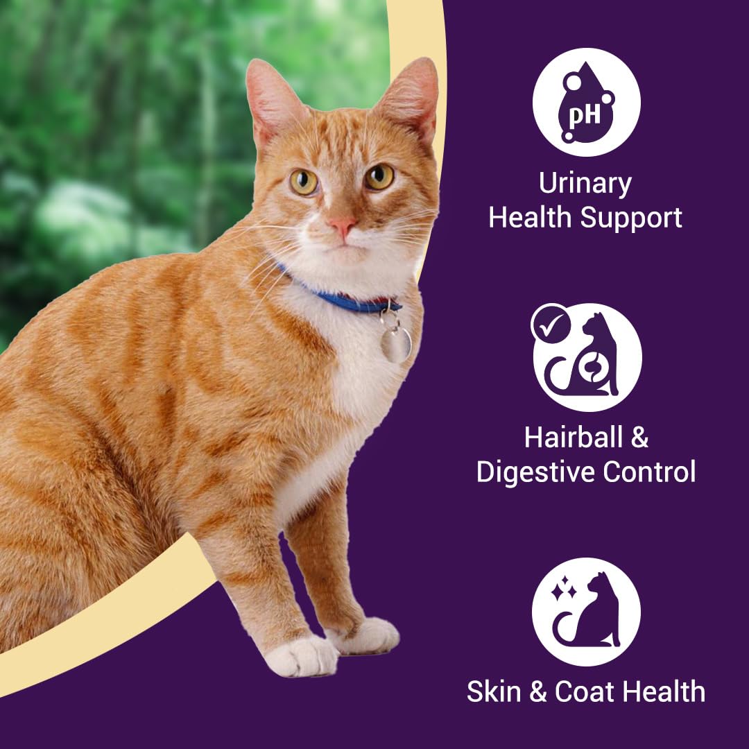 Purrfeto Adult Dry Cat Food | Chicken & Salmon | 1.2 kg |40% Reduction in Urinary Track Diseases |Anti Hairball Formula |Healthy Skin & Coat |Improves Digestive Health