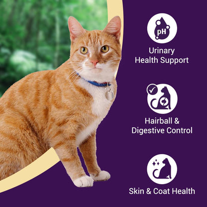 Purrfeto Adult Dry Cat Food | Chicken & Salmon | 1.2 kg |40% Reduction in Urinary Track Diseases |Anti Hairball Formula |Healthy Skin & Coat |Improves Digestive Health