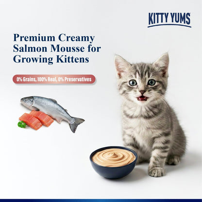 Kitty Yums Kitten Wet Mousse 80g | Salmon | Rich in Protein | Promotes Hydration & Easy to Digest | Grain Free | No Artificial Flavours | Packed with Essential Vitamins & Antioxidants