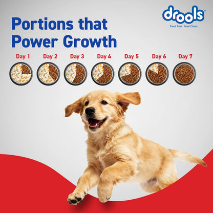 Drools Puppy Dry Dog Food 1.2Kg Pack | Chicken and Egg Flavour | Optimal Growth | Healthy Coat & Skin | Strong Immune System | Enhanced Palatability