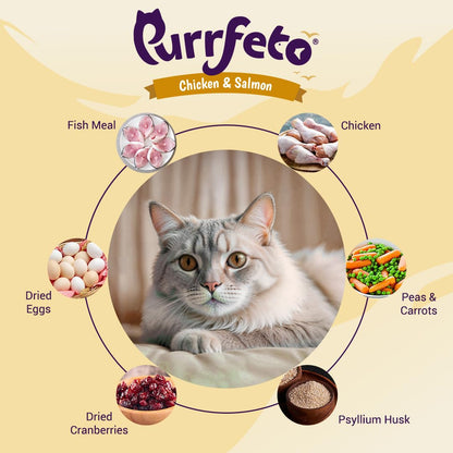 Purrfeto Adult Dry Cat Food | Chicken & Salmon | 1.2 kg |40% Reduction in Urinary Track Diseases |Anti Hairball Formula |Healthy Skin & Coat |Improves Digestive Health