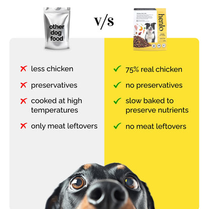 Henlo Baked Dry Dog Food for Adult Dogs | 800G | 100% Human-Grade Ingredients | High-Protein Nutritionally Balanced Healthy Dog Food | Chicken Flavor | No Fillers or Additives