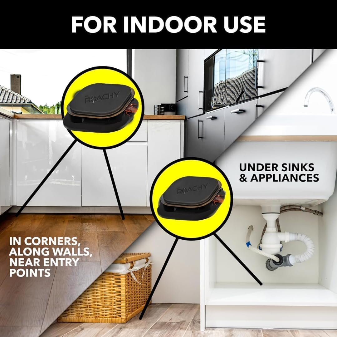 Noroachy Natural Cockroach Killer Bait for Kitchen, Bathrooms & Cabinets, Outdoor & Indoor - All in One Solution (12 Bait)