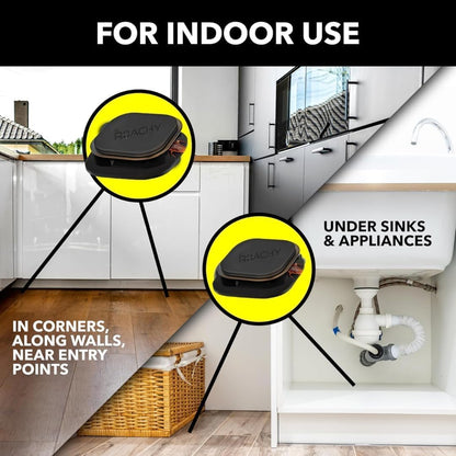 Noroachy Natural Cockroach Killer Bait for Kitchen, Bathrooms & Cabinets, Outdoor & Indoor - All in One Solution (12 Bait)